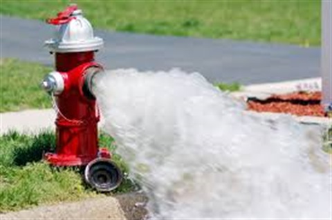 Flushing.jpg