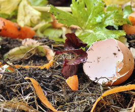 Compost-Sample.png